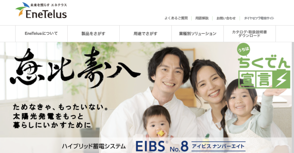 EIBS No.8