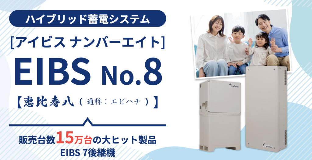 EIBS No.8